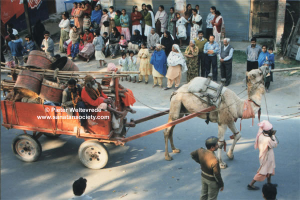 india_transport_camel1_jpg.jpg