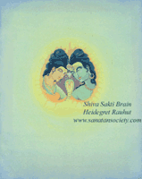 Click for a larger image of Shiva and Shakti inside the brain