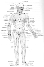 Indian reflexology - image protected by digital watermarking