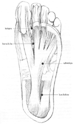 Indian reflexology - image protected by digital watermarking